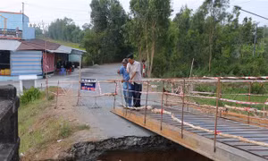 Hàng nghìn héc-ta đất sản xuất tại Sóc Trăng bị ảnh hưởng do sạt lở cống