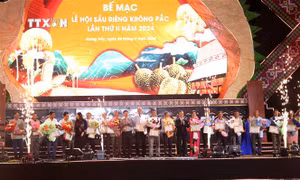 Cơ hội nâng tầm thương hiệu trái sầu riêng