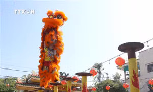 Rộn ràng múa Lân Sư Rồng ngày xuân