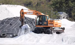 Kêu gọi đầu tư, nâng vị thế cho ngành muối