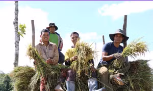 Kinh tế Gia Lai khởi sắc giữa đại dịch