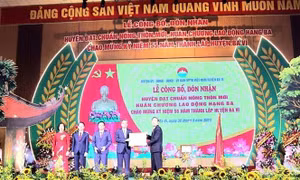Khai thác lợi thế tiềm năng Ba Vì để xây dựng nông thôn mới nâng cao