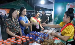 Khai mạc Hội chợ nông nghiệp và Triển lãm sản phẩm OCOP vùng Đồng bằng sông Hồng 2023