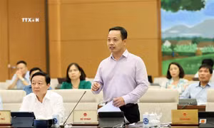 Tuần làm việc thứ 4, Kỳ họp thứ 7, Quốc hội khóa XV: Tập trung cho công tác lập pháp