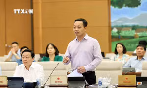 Tuần làm việc thứ 4, Kỳ họp thứ 7, Quốc hội khóa XV: Tập trung cho công tác lập pháp
