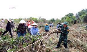 Bảo đảm vệ sinh môi trường trên sông biên giới