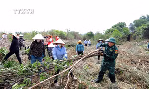 Bảo đảm vệ sinh môi trường trên sông biên giới