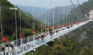 Việt Nam được đề cử ở nhiều hạng mục của Giải thưởng Du lịch thế giới 2024