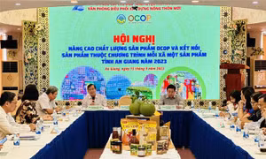 Nâng chất lượng sản phẩm OCOP 3 sao trở lên tại An Giang