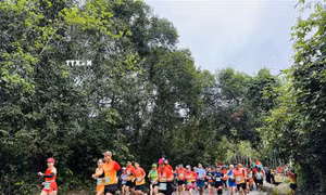 Gần 2.400 vận động viên tham gia giải Quang Binh Discovery Marathon 2024