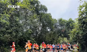Gần 2.400 vận động viên tham gia giải Quang Binh Discovery Marathon 2024
