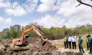 Các hộ dân tại Bạc Liêu trồng lại diện tích rừng đã lấn chiếm