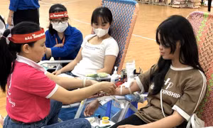 Bình Định: Chương trình “Chủ nhật Đỏ” lần thứ I - năm 2024 thu được 700 đơn vị máu