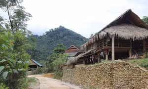 Nhịp sống yên bình giữa đại ngàn Pù Huống