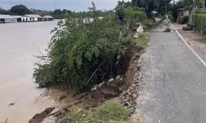An Giang liên tục xảy ra sạt lở bờ sông