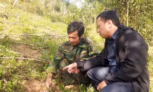 Sức bật từ triển khai Chương trình mục tiêu Quốc gia xây dựng nông thôn mới