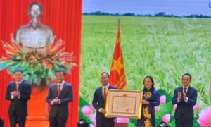 Huyện đạt chuẩn nông thôn mới từ phát triển sản xuất nông nghiệp gắn với du lịch, dịch vụ