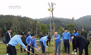 Chủ tịch Quốc hội Vương Đình Huệ dự Lễ khởi động Tháng Thanh niên và Tết trồng cây Đời đời nhớ ơn Bác Hồ