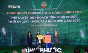 Quy hoạch Bình Phước thành cực tăng trưởng kinh tế quan trọng của Vùng Đông Nam Bộ