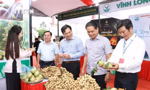 300 gian hàng tham gia hội chợ xúc tiến thương mại gắn với lễ hội Ok Om Bok tỉnh Trà Vinh