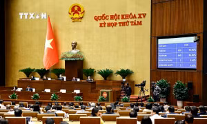 Kỳ họp thứ 8, Quốc hội khóa XV: Quốc hội thông qua Luật sửa đổi, bổ sung một số điều của 9 Luật