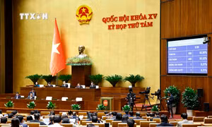 Kỳ họp thứ 8, Quốc hội khóa XV: Thông qua Luật Phòng cháy, chữa cháy và cứu nạn, cứu hộ