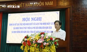 Bàn giải pháp mang lại giá trị gia tăng cho ngành hàng cà phê Đắk Lắk