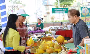 Hợp tác kết nối tiêu thụ sản phẩm trên môi trường số cho hợp tác xã