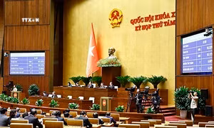 Kỳ họp thứ 8, Quốc hội khóa XV: Thông qua Luật Địa chất và khoáng sản