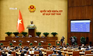 Kỳ họp thứ 8, Quốc hội khóa XV: Thông qua Luật Đầu tư công (sửa đổi)