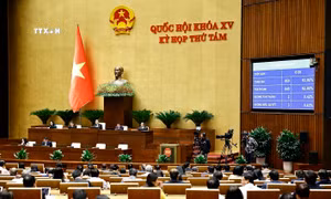 Kỳ họp thứ 8, Quốc hội khóa XV: Quốc hội thông qua Luật sửa đổi, bổ sung một số điều của 9 Luật