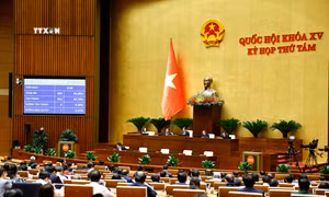 Kỳ họp thứ 8, Quốc hội khóa XV: Thông qua Luật Phòng, chống mua bán người (sửa đổi)