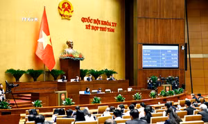 Kỳ họp thứ 8, Quốc hội khóa XV: Thông qua Luật sửa đổi, bổ sung một số điều của Luật Bảo hiểm y tế