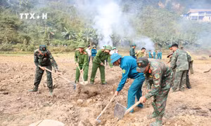 Hàng trăm cán bộ, chiến sĩ giúp người dân vùng lũ Mường Pồn khôi phục sản xuất