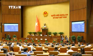 Kỳ họp thứ 8, Quốc hội khóa XV: Thông qua Luật Di sản văn hóa (sửa đổi)