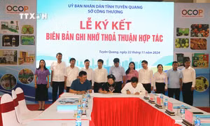 Tuyên Quang kết nối cung - cầu và đẩy mạnh tiêu thụ sản phẩm hàng hóa