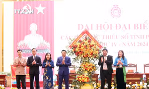 Đại hội đại biểu các dân tộc thiểu số tỉnh Phú Thọ lần thứ IV 
