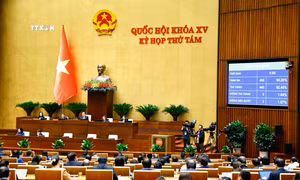 Kỳ họp thứ 8, Quốc hội khóa XV: Thông qua Luật Công đoàn (sửa đổi)