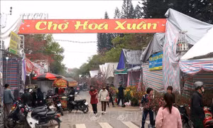Thủ tướng Chính phủ đồng ý nghỉ 9 ngày liên tục trong dịp Tết Nguyên đán Ất Tỵ 2025