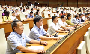 Kỳ họp thứ 8, Quốc hội khóa XV: Thông qua Luật sửa đổi, bổ sung một số điều của Luật Dược
