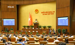 Kỳ họp thứ 8, Quốc hội khóa XV: Thông qua Luật Di sản văn hóa (sửa đổi)