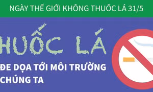 Thuốc lá - Mối đe dọa tới môi trường của chúng ta