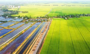 Kế hoạch thực hiện Quy hoạch tỉnh Bạc Liêu thời kỳ 2021-2030