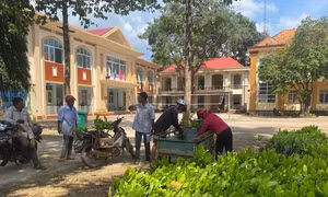 Bình Phước trao "cần câu" để người nghèo phát triển kinh tế bền vững