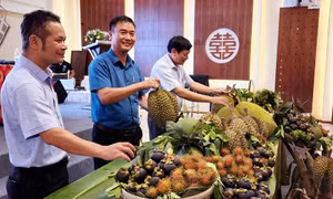 Lãnh đạo UBND huyện Khánh Sơn giới thiệu các sản phẩm trái cây của địa phương. Ảnh: qdnd.vn