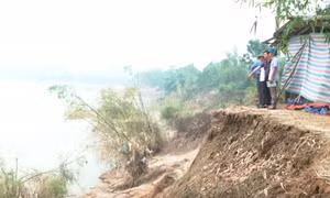 Sạt lở bờ sông, uy hiếp nhiều tuyến đê ven sông ở Đoan Hùng