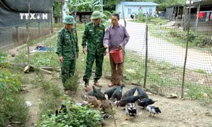 Đọc thông, nói thạo tiếng Mông - “Chìa khóa” gắn kết tình quân dân ở Na Ngọi