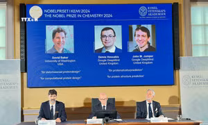 Giải Nobel Hóa học 2024 vinh danh những nghiên cứu "gỡ nút thắt" tồn tại 50 năm qua về protein