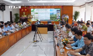 Công bố Quy hoạch lâm nghiệp quốc gia