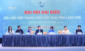 Hội Liên hiệp Thanh niên Việt Nam tỉnh Lạng Sơn hỗ trợ đào tạo nghề cho thanh niên dân tộc thiểu số
